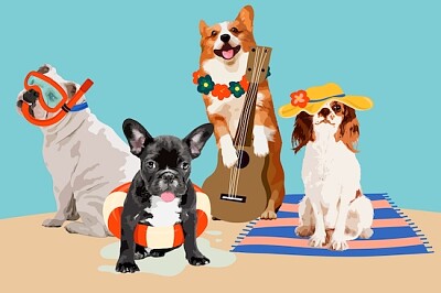 Festa in spiaggia per cani