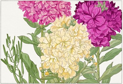 Stock flower woodblock painting