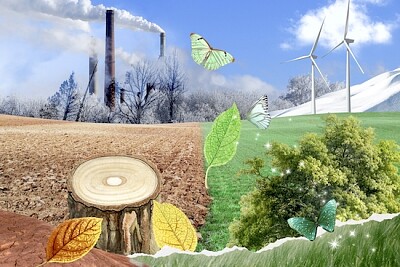 Umwelt-Collage