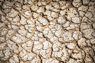 Textura de suelo agrietado