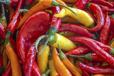 Hot Peppers - Pimentão Fresco