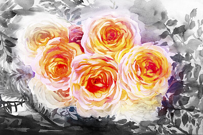 Roses aquarelles