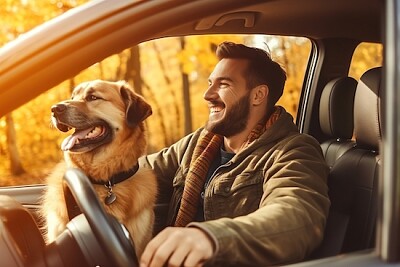 Mi perro conduciendo conmigo