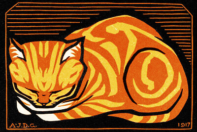 חתול דצמבר (1917)