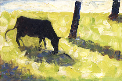 Vaca negra en un prado