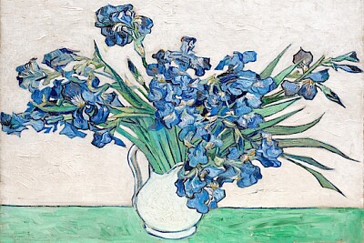 Irises