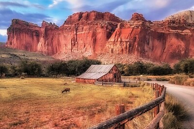 House in the Desert