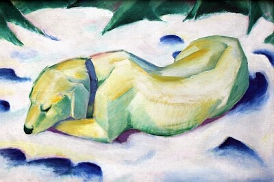 Dog Lying in the Snow