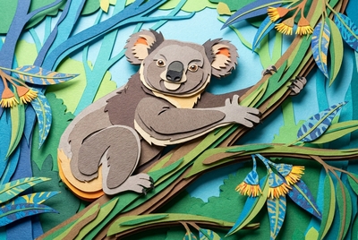 Koala