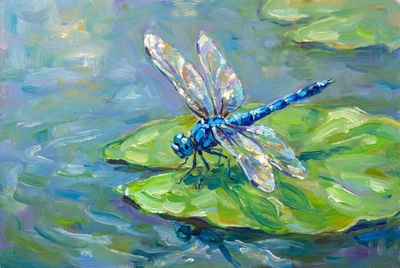 Libellentraum