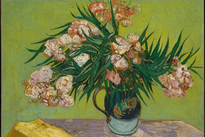 Oleander