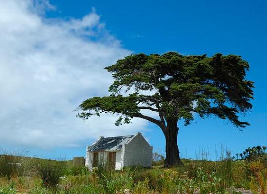 Cape Point, Südafrika