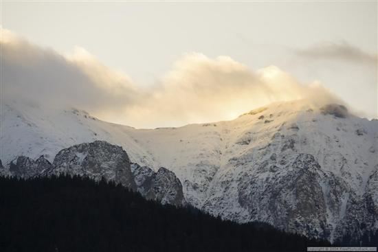 Snowy landscape