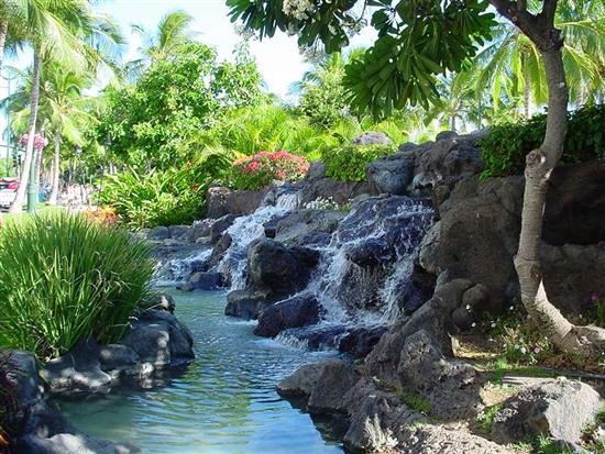 Tropiskt vattenfall i Waikiki Beach