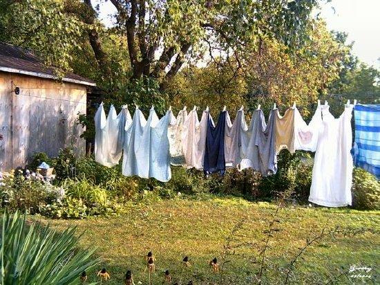 Laundry