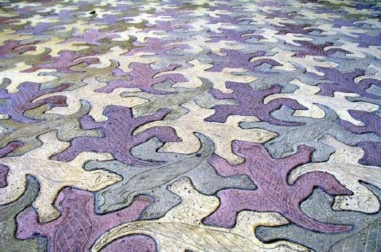 Textura de crocodilo