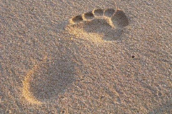 砂の上の足跡
