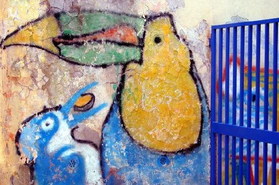 Graffiti di pappagalli