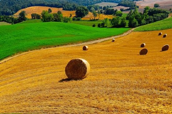 Toscana landskap, Italien