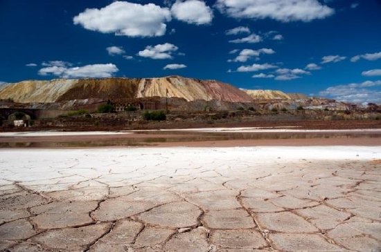 Dry Landscape