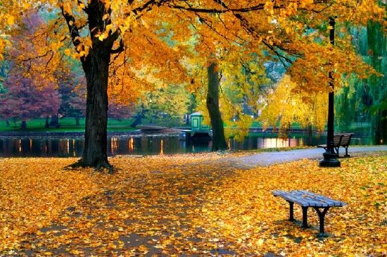 Есен в обществената градина в Бостън