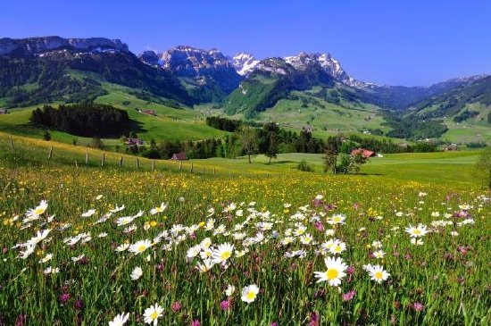 Krajobraz w Szwajcarii