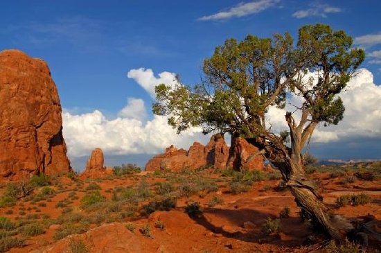 ユタ風景、アメリカ