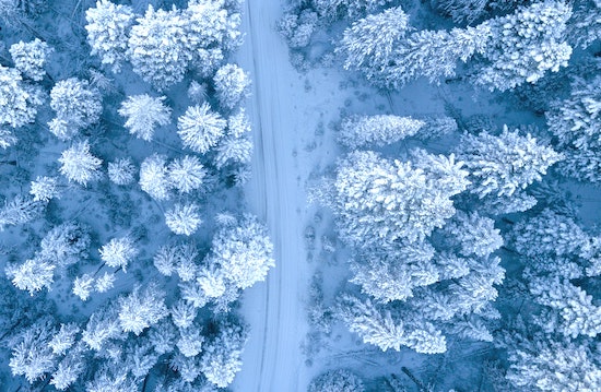 積雪覆蓋的樹木的航拍照片