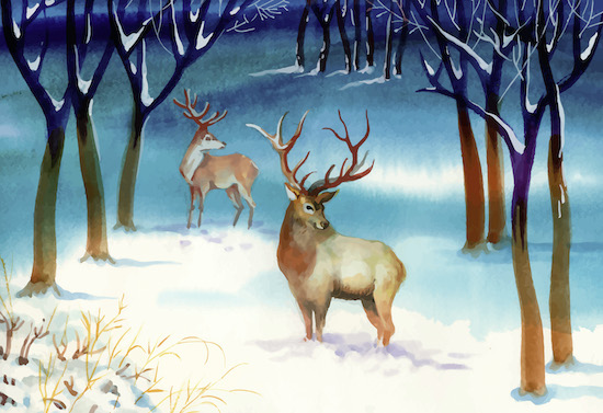 鹿と冬の風景