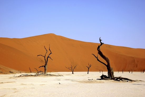 Deadvlei bild