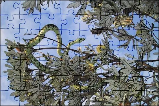 Python Snake Jigsaw Puzzle Online | Jspuzzles.Com