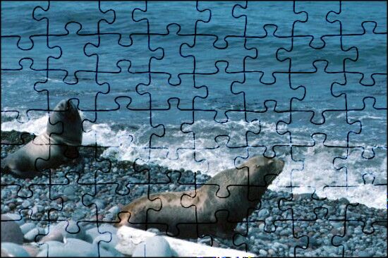 Puzzle con perni in legno Animali marini - In collaborazione con il WWF