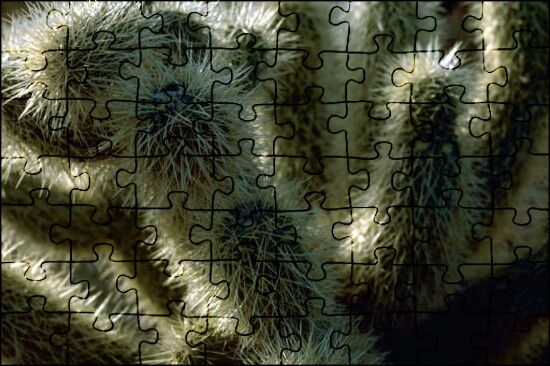 50 Pacchetti Di 6 Pollici Picchetti Di Fissaggio In Acciaio Zincato - Foto 13