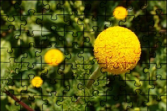Sport Jigsaw Puzzles Online | JSPuzzles.com - Page 7