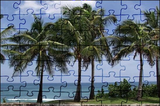 Palm Tree Jigsaw Puzzles Online | JSPuzzles.com