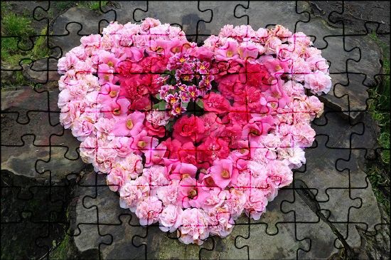 3 rose puzzle