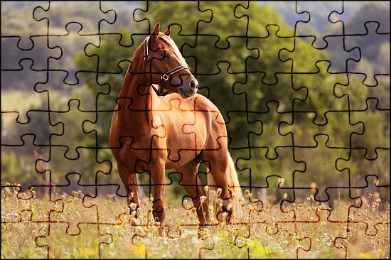 Outdoors Jigsaw Puzzles Online