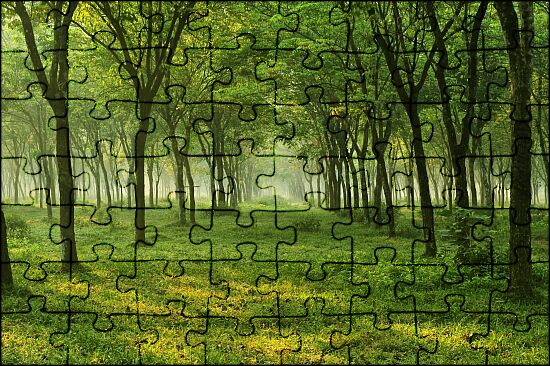 ジグソーパズル Jigsaw Puzzle Korpokkur in the Forest Takashi Murakami Jigsaw Puzzle Korpokkur in the Forest