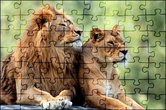 Rompecabezas Animales | JSPuzzles.com