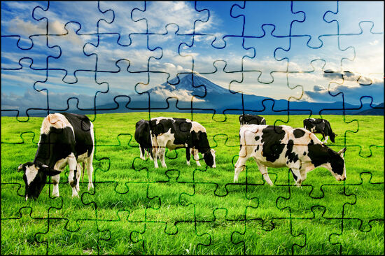 Online Puzzle Games for Young Children: Cow