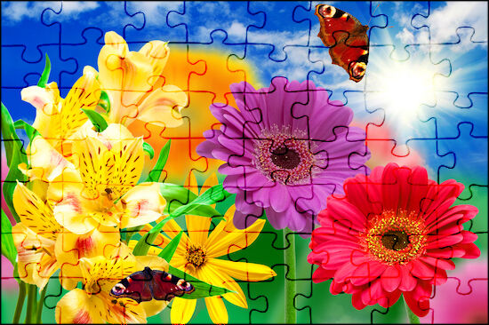 Takashi Murakami | Flower jigsaw puzzle (1000pcs) | MutualArt