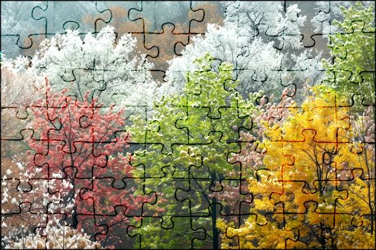 pic6-puzzle-2460533.jpg