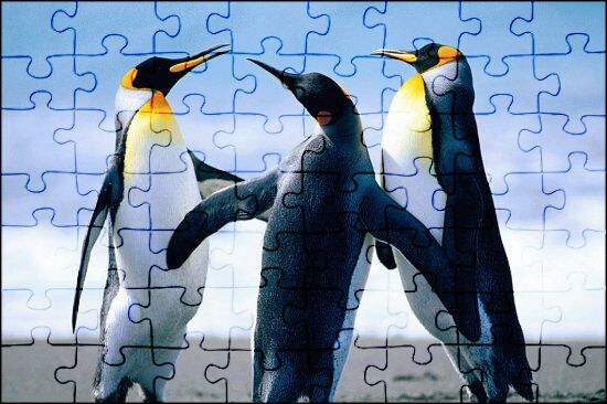 BORELLA - Puzzle 3D Pinguini 500 pezzi