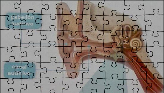 Rompecabezas Oido Beichi08 Puzzle 695585 Jspuzzles