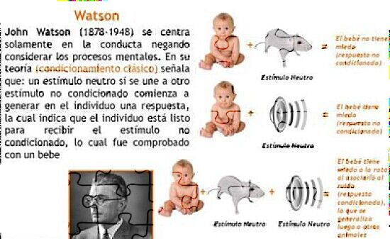 Teoria De Watson Condicionamiento Clasico - Rompecabezas Del
