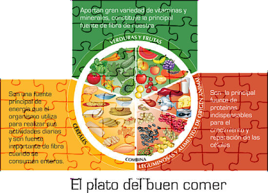 Plato Alimenticio - Rompecabezas Del Usuario #956025