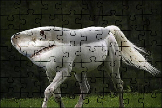 Shark Horse - Dzamoratucci Puzzle #975573 | Jspuzzles