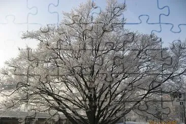 Snow (Submitted by Zipi) jigsaw puzzle