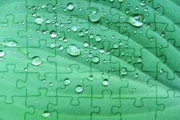 Dew jigsaw puzzle
