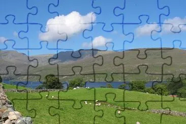 Sheeps pasture, Ireland  jigsaw puzzle